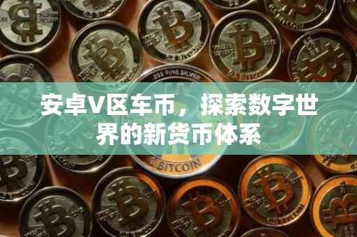 安卓V区车币，探索数字世界的新货币体系
