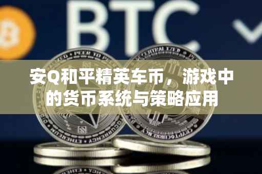 安Q和平精英车币，游戏中的货币系统与策略应用