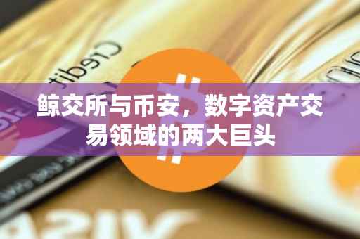 鲸交所与币安，数字资产交易领域的两大巨头