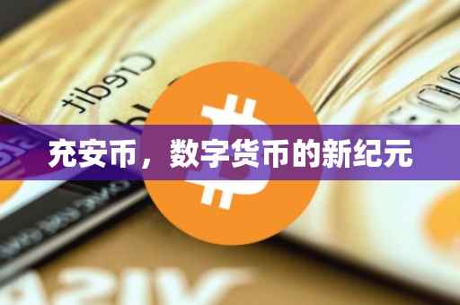 充安币,数字货币的新纪元