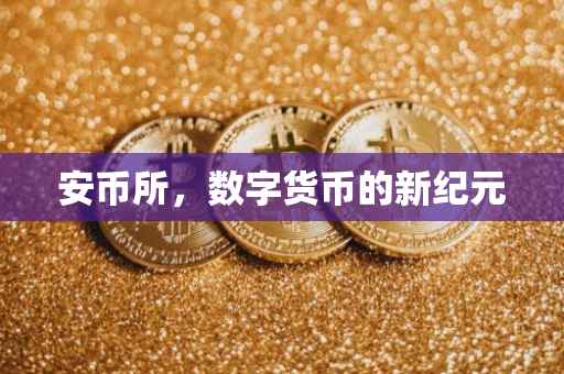 安币所,数字货币的新纪元