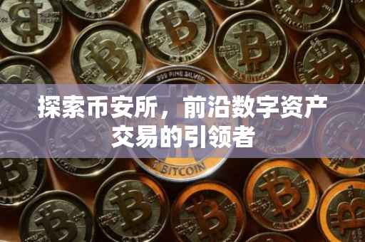 探索币安所,前沿数字资产交易的引领者