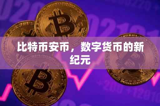 比特币安币,数字货币的新纪元