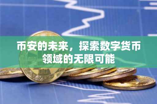 币安的未来,探索数字货币领域的无限可能