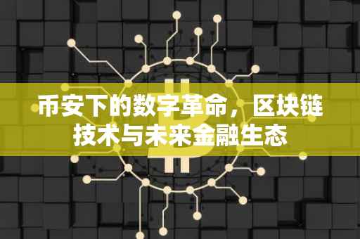 币安下的数字革命,区块链技术与未来金融生态
