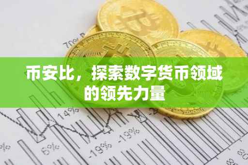 币安比，探索数字货币领域的领先力量