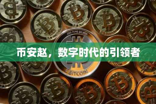 币安赵,数字时代的引领者