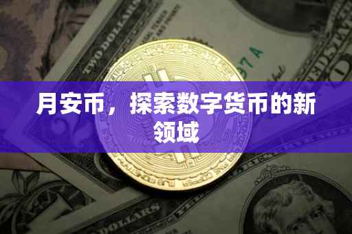 月安币,探索数字货币的新领域