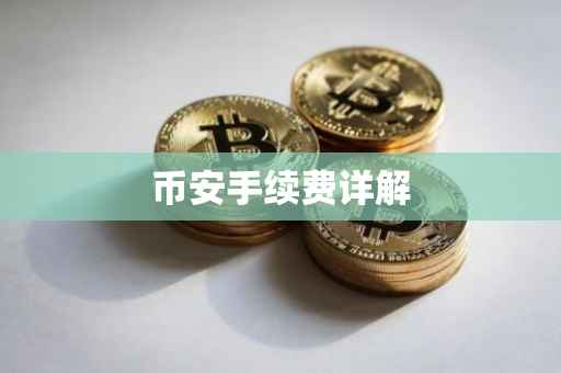 币安手续费详解