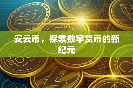 安云币,探索数字货币的新纪元