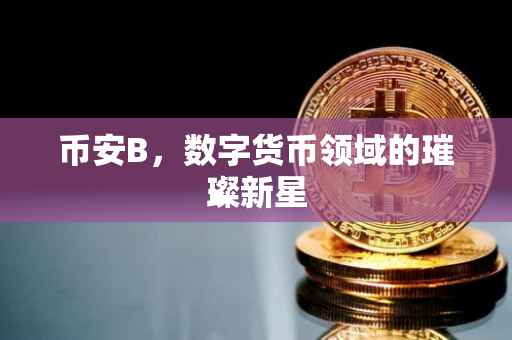 币安B,数字货币领域的璀璨新星
