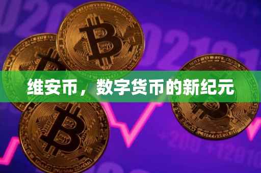 维安币,数字货币的新纪元