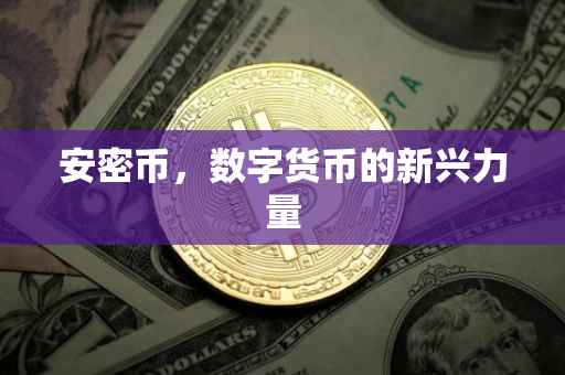 安密币,数字货币的新兴力量