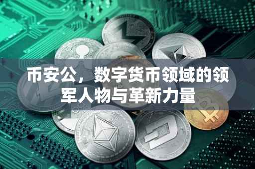 币安公,数字货币领域的领军人物与革新力量