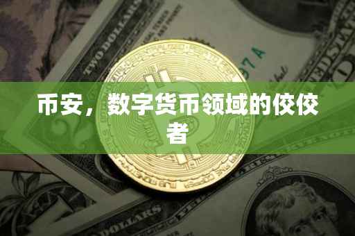 币安,数字货币领域的佼佼者