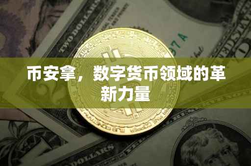 币安拿，数字货币领域的革新力量