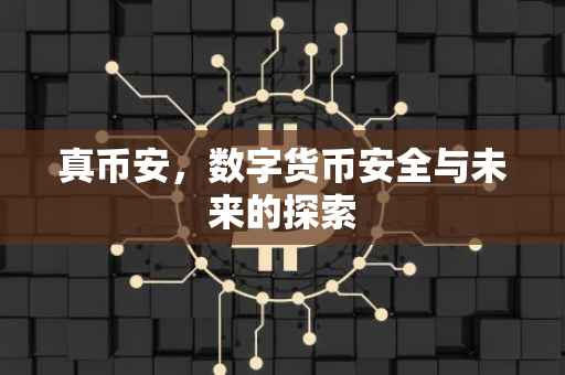 真币安,数字货币安全与未来的探索
