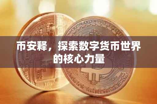 币安释,探索数字货币世界的核心力量