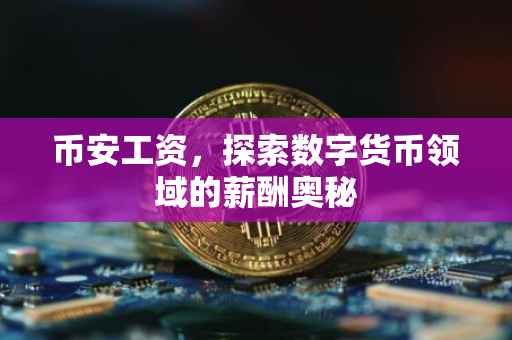 币安工资，探索数字货币领域的薪酬奥秘