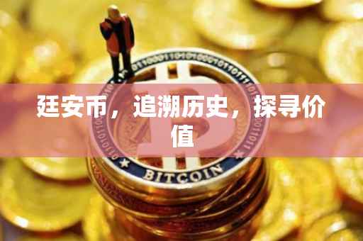 廷安币，追溯历史，探寻价值