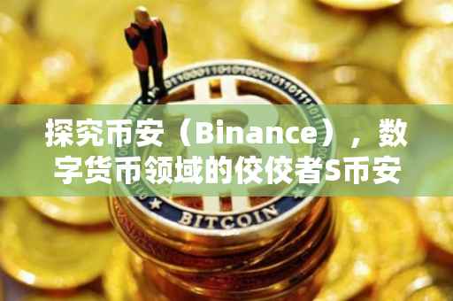 探究币安(Binance),数字货币领域的佼佼者S币安之路