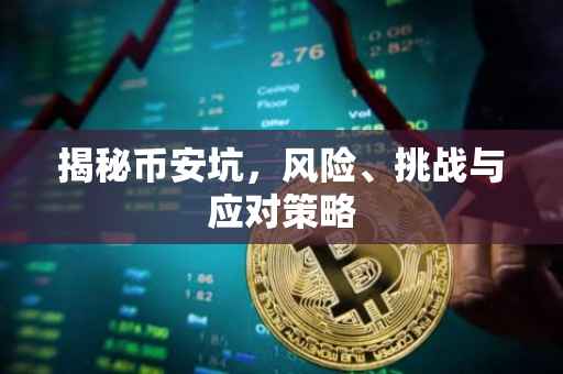 揭秘币安坑,风险、挑战与应对策略