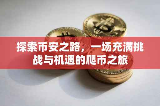 探索币安之路，一场充满挑战与机遇的爬币之旅