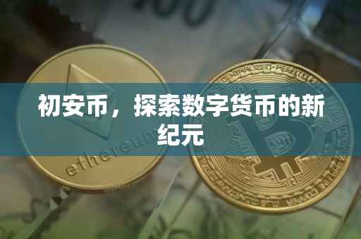 初安币,探索数字货币的新纪元