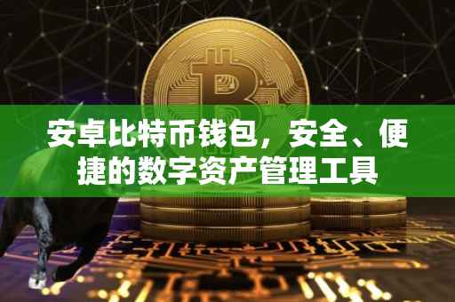 安卓比特币钱包，安全、便捷的数字资产管理工具