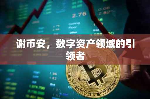 谢币安，数字资产领域的引领者