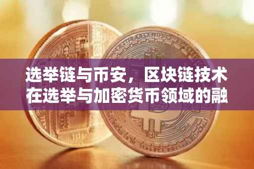选举链与币安，区块链技术在选举与加密货币领域的融合应用