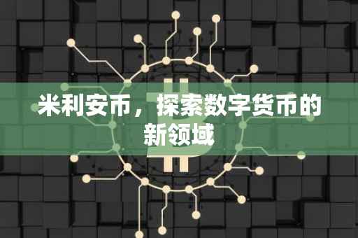 米利安币,探索数字货币的新领域