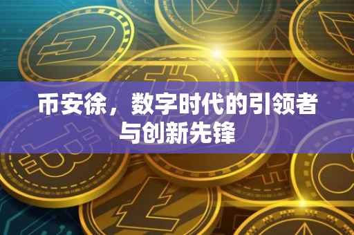 币安徐，数字时代的引领者与创新先锋