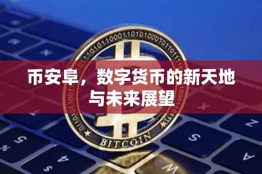 币安阜，数字货币的新天地与未来展望