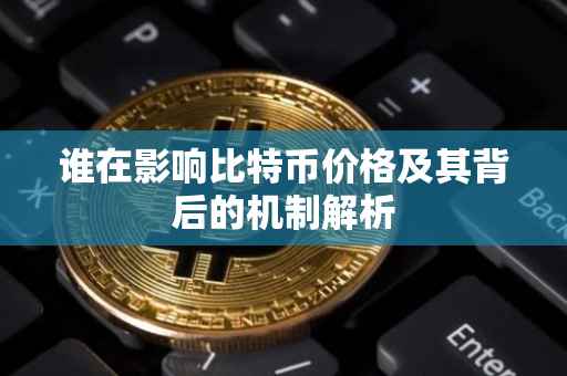 谁在影响比特币价格及其背后的机制解析