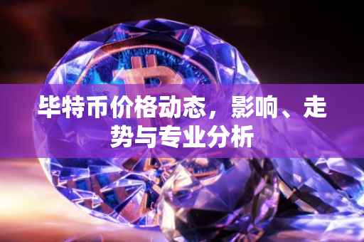 毕特币价格动态,影响、走势与专业分析