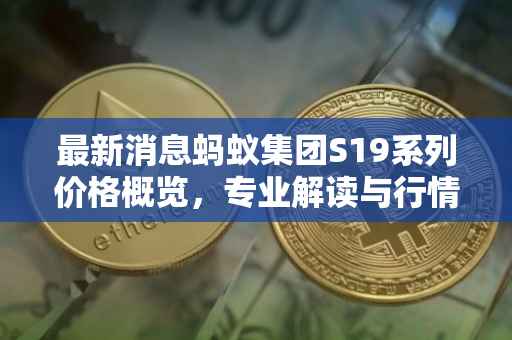 最新消息蚂蚁集团S19系列价格概览，专业解读与行情分析