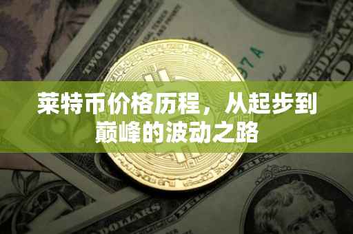 莱特币价格历程，从起步到巅峰的波动之路