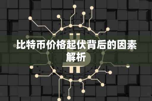 比特币价格起伏背后的因素解析