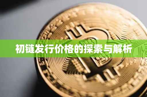 初链发行价格的探索与解析