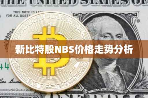 新比特股NBS价格走势分析