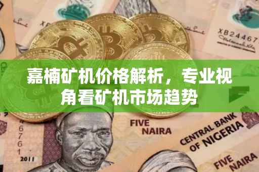 嘉楠矿机价格解析，专业视角看矿机市场趋势