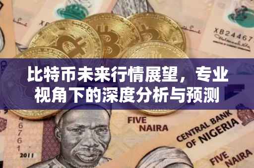 比特币未来行情展望，专业视角下的深度分析与预测