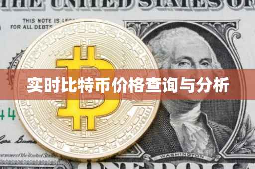 实时比特币价格查询与分析