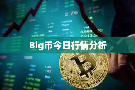 Big币今日行情分析