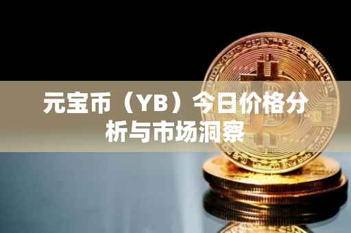 元宝币（YB）今日价格分析与市场洞察