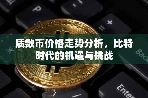 质数币价格走势分析，比特时代的机遇与挑战