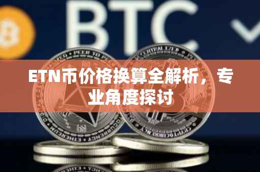 ETN币价格换算全解析，专业角度探讨