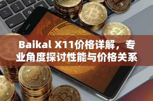 Baikal X11价格详解，专业角度探讨性能与价格关系