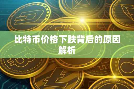 比特币价格下跌背后的原因解析